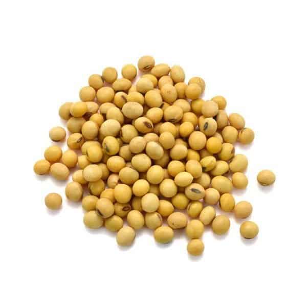 Organic Raw Soybeans 55.12 lbs / 25 kg