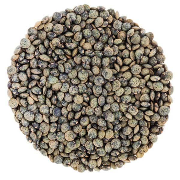 Organic French Lentils 25 lbs/11.34 kg
