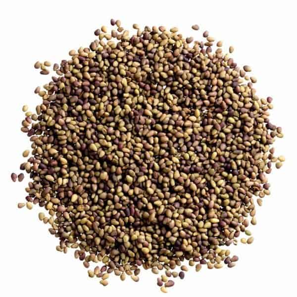Organic Red Clover 25 lbs / 11.34 kg