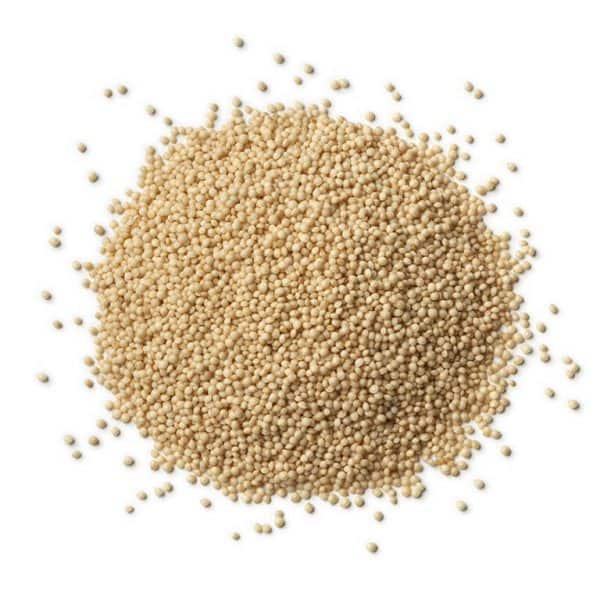 Organic Amaranth 50 lbs / 22.68 kg