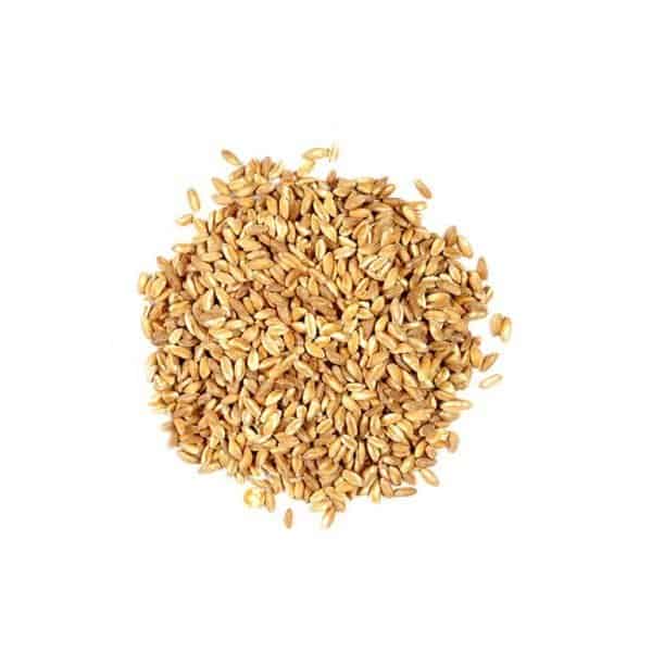 Organic Farro 22.05 lbs / 10 kg