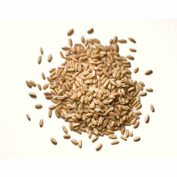 Organic Spelt Kernels 50 lbs / 22.68 kg