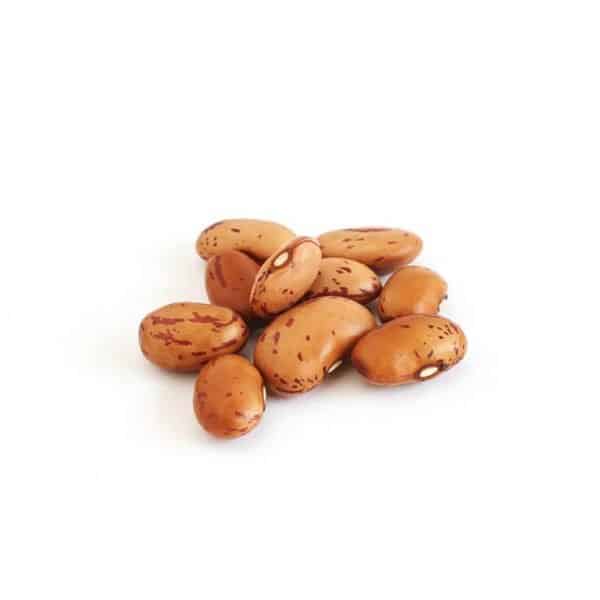 Organic Pinto Beans 25 lbs / 11.34 kg