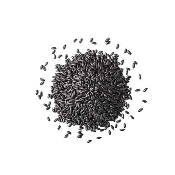 Organic Ancient Black Rice 11.02 lbs / 5 kg