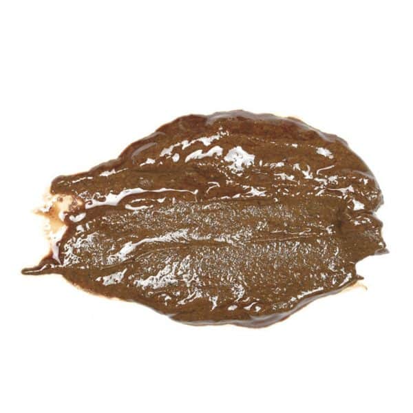 Organic Filbert Butter 22.05 lbs / 10 kg