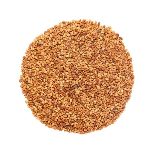 Organic Alfalfa Seeds 55.12 lbs / 25 kg