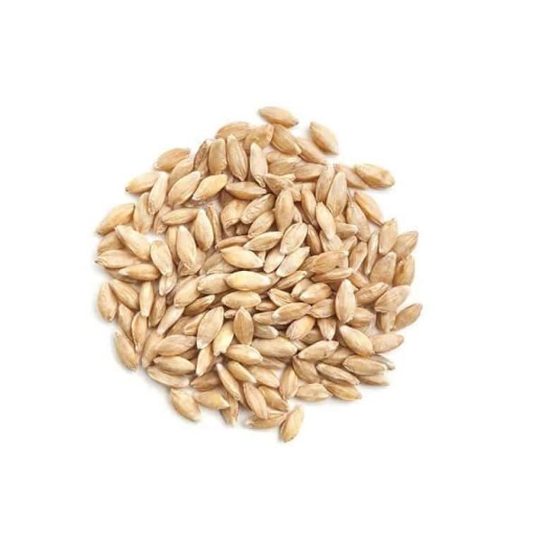 Organic Wheat 50 lbs / 22.68 kg