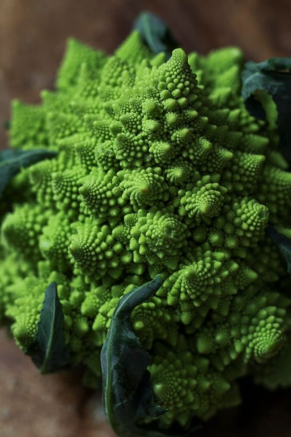 Organic Broccoli Romanesco