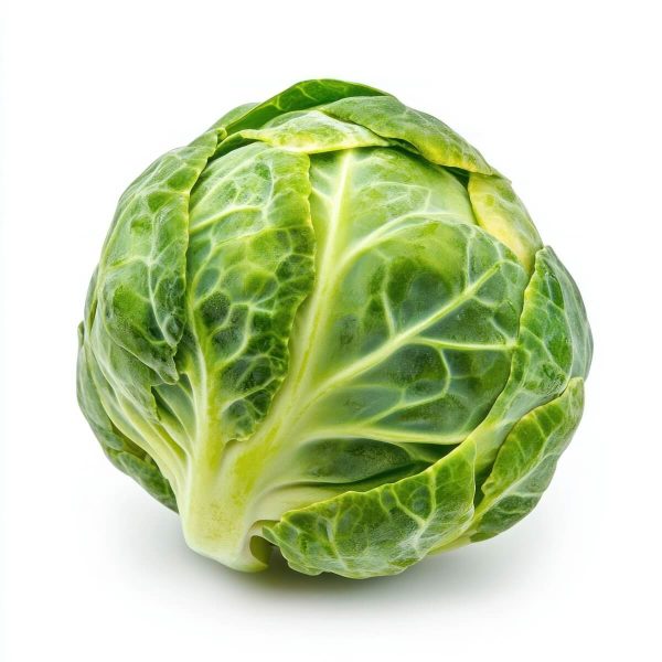 Organic Brussels Sprout
