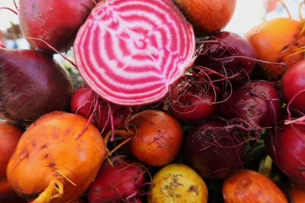 Organic Lettuce Radicchio Chioggia