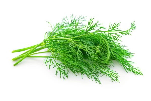 Organic Dill Bunch