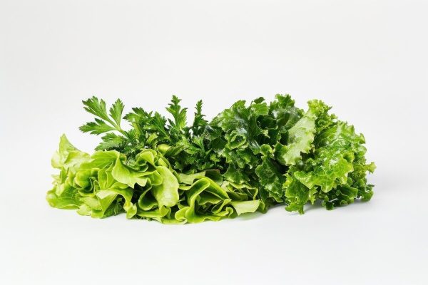 Organic Lettuce Salad  Spring Mix