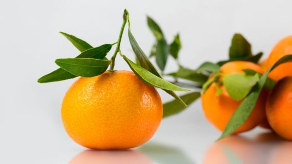 Organic Citrus Tangerine