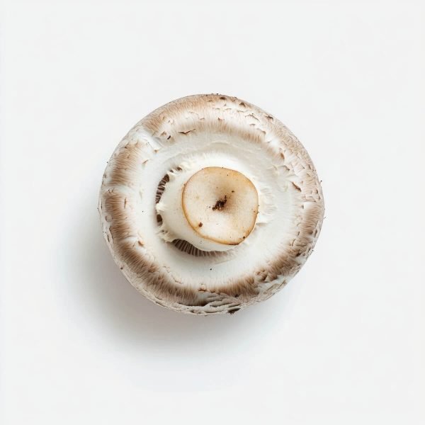 Organic Mushrooms White Jumbo
